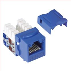 6 类 Keystone 插座, 110 / RJ45 EIA568A/B    蓝色的图片