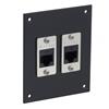 通用系列面板，带两个超6类耦合器，RJ45，非屏蔽的图片